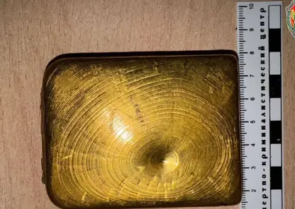 Житель Казахстана попытался вывезти из России золото, замаскированное под пауэрбанк