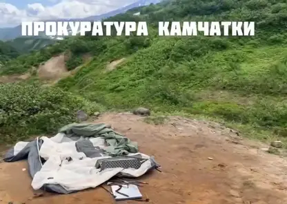 На Камчатке медведь напал на спящую туристку у Мутновского вулкана