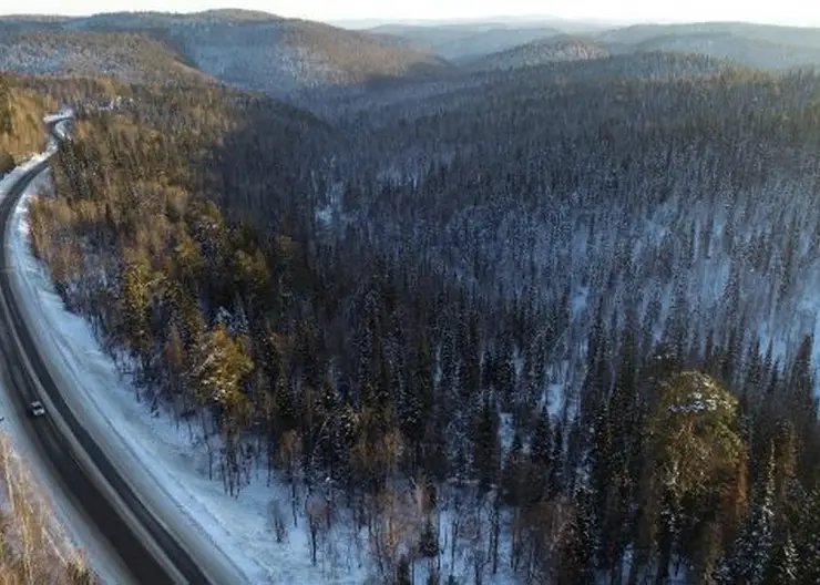 Александр Усс инициировал запуск новых программ