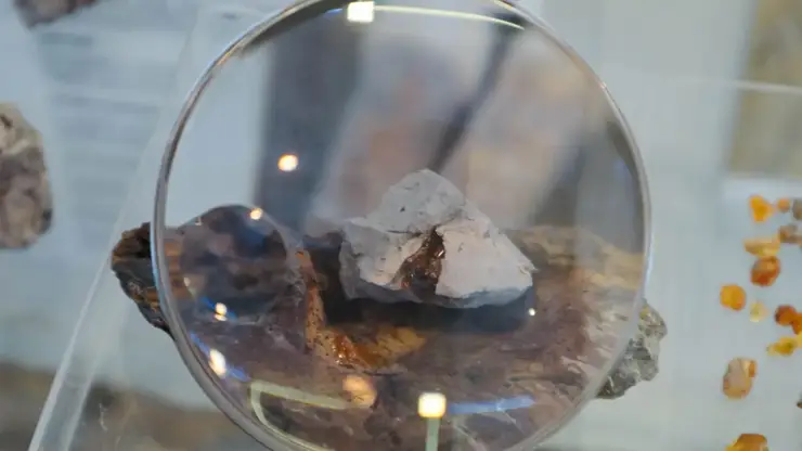 Коллекция Кузбасского музея пополнилась древнейшим в стране янтарем