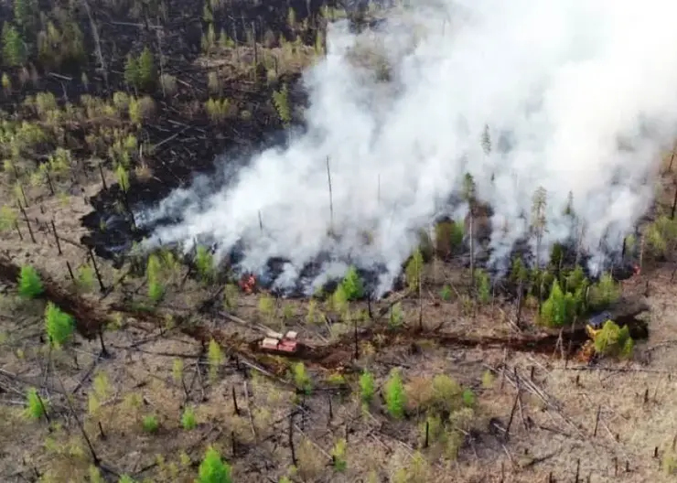 Огнеборцы за сутки ликвидировали девять лесных пожаров в Хабаровском крае