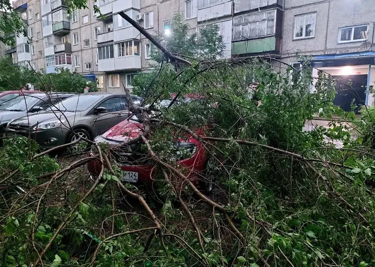 Ураганом в Минусинске повреждены 8 автомобилей