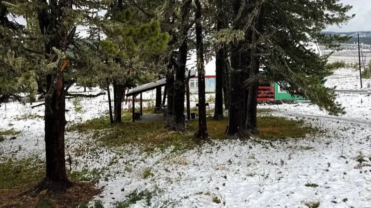 Алтай завалило снегом в первый день осени: смотрим фото сугробов