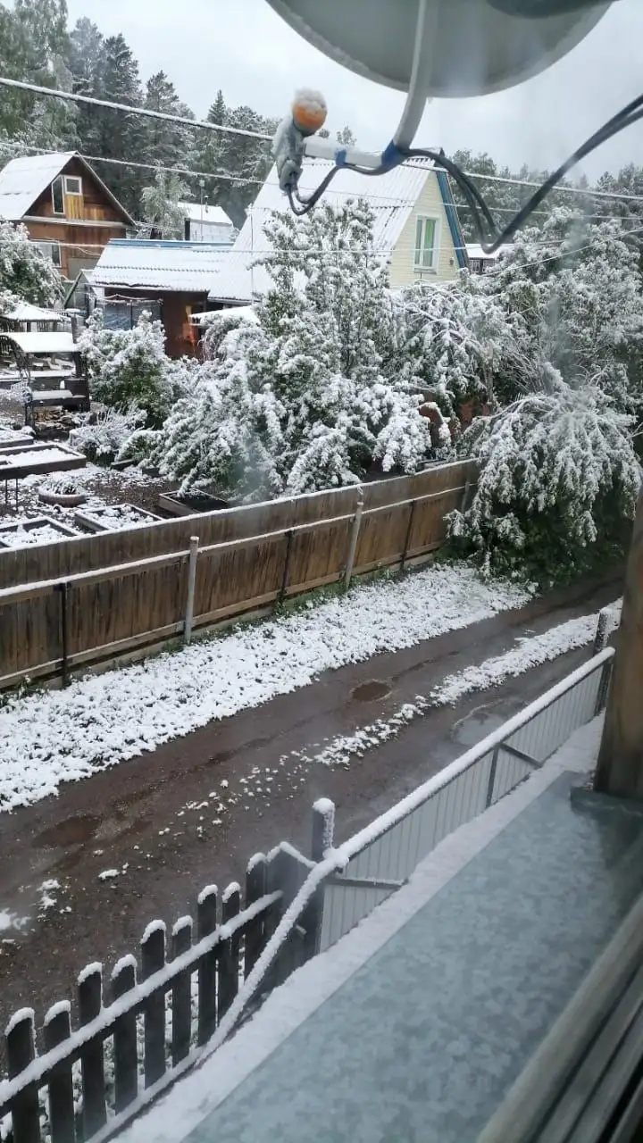 Фото: Telegram-канал «Мэрия Красноярска»