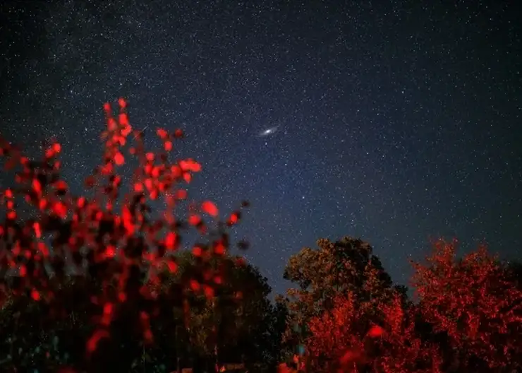 Гороскоп на 11 июля