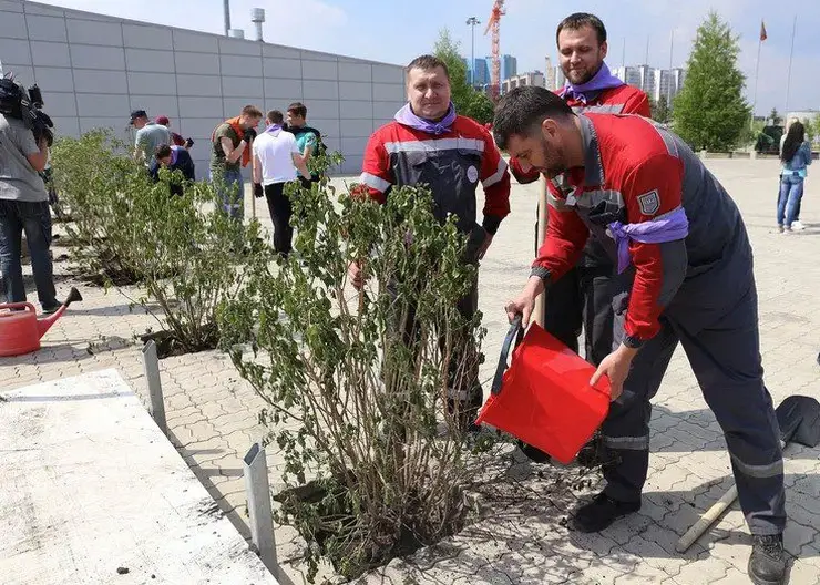 В Красноярске в шестой раз прошла экоакция РУСАЛа «Сиреневый день»