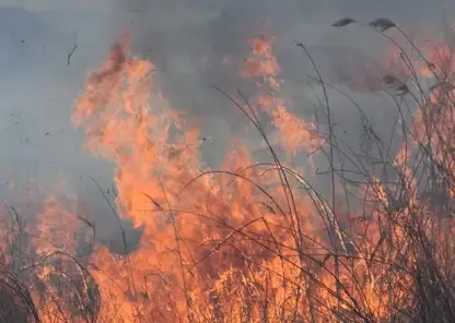 74-летняя пенсионерка и ее дочка оказали сопротивление пожарным, приехавшим тушить подожженную ими траву под Минусинском (видео)