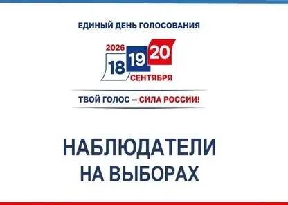 Избирком напомнил об ограничениях и сроках назначения наблюдателей на выборах в Красноярском крае