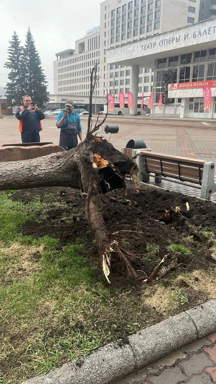 Фото: Красгорпарк