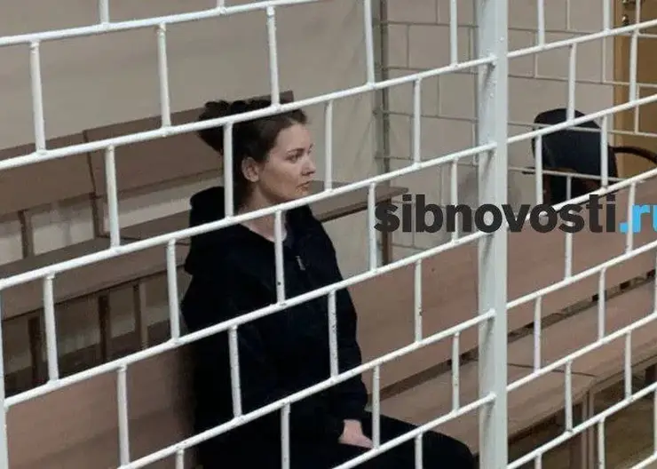 В Красноярске суд дал 22 года колонии матери, зарубившей маленькую дочь топором