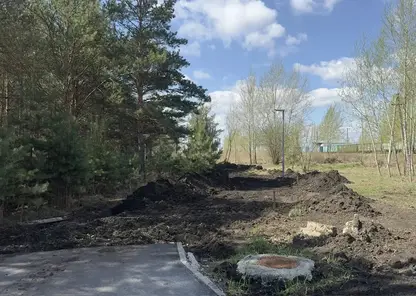 Общественное пространство «Преолес» благоустроят в Красноярске