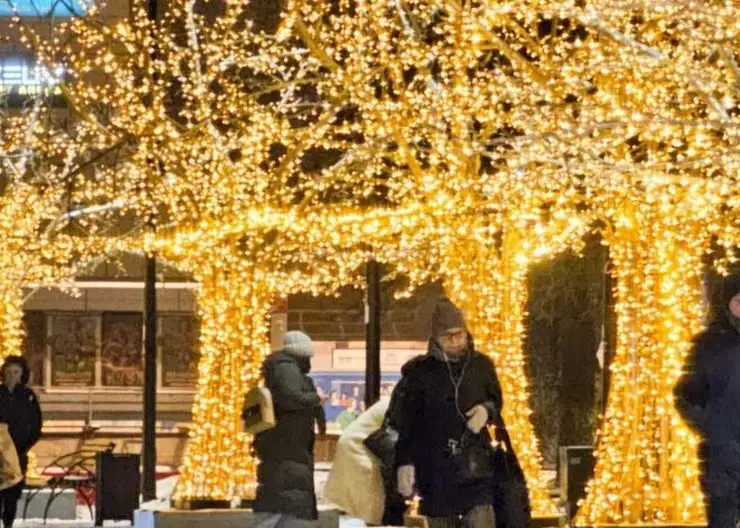 В Красноярске начинают создавать новогоднее настроение: улицы украсят светящиеся деревья