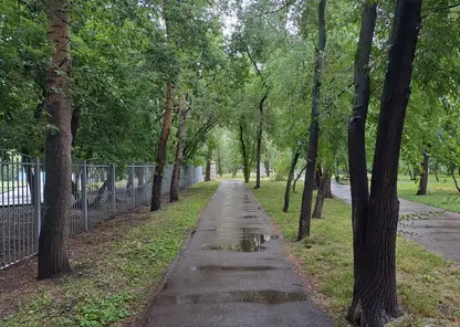 Дождь и +8. Прогноз погоды на пятницу в Красноярске