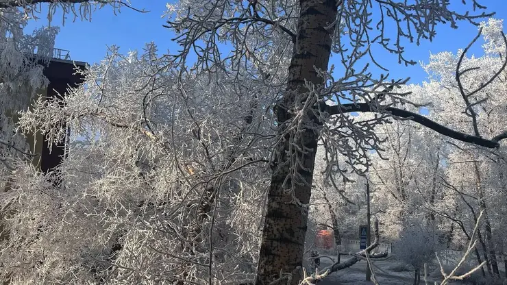При какой температуре отменяют уроки в школах Красноярска в морозы: официальные нормы