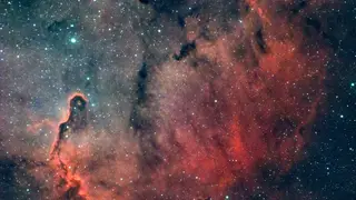 Красноярские астрономы запечатлели «Хобот слона» и тайны Ориона Красноярские астрономы запечатлели «Хобот слона» и тайны Ориона