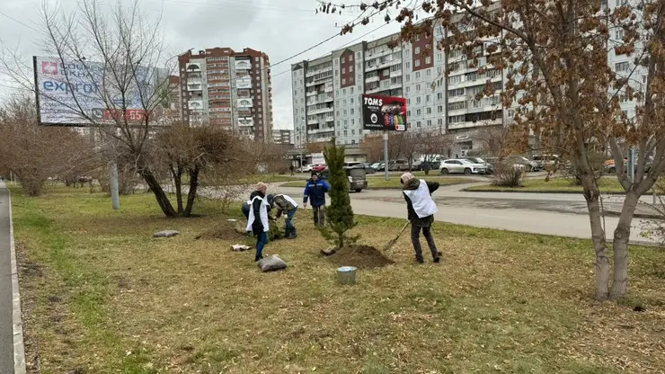 В микрорайоне Взлётка состоялась экологическая акция по посадке деревьев