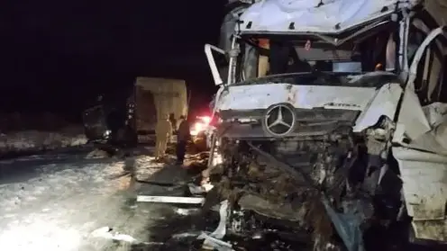 Молодые бычки погибли в ДТП в Емельяновском районе Красноярского края