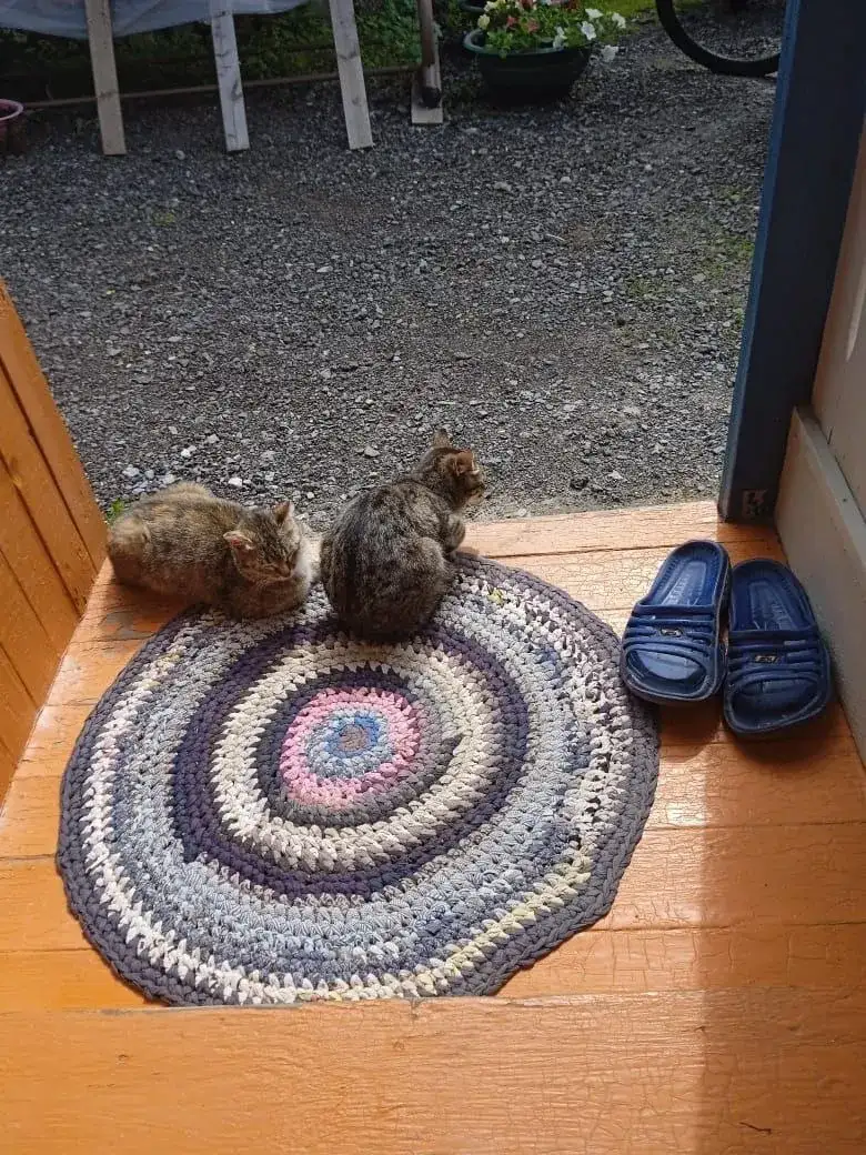 Фото: Иван Ямашев