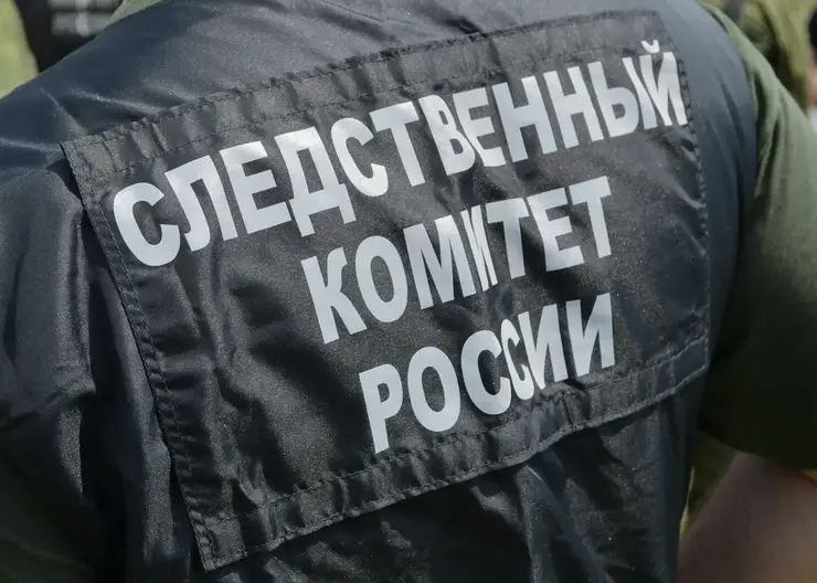 Глава СК РФ Бастрыкин затребовал сразу четыре доклада по расследованиям уголовных дел в Красноярском крае