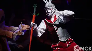 Омский Белый кролик покоряет Калининград