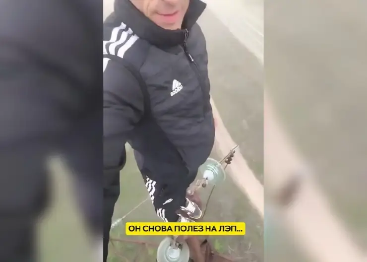 Дальневосточный «человек-паук» забрался на опору ЛЭП, чтобы перекусить бананом