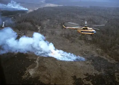 Лесных арендаторов в Забайкалье, отказавшихся тушить пожары, будут лишать лицензий