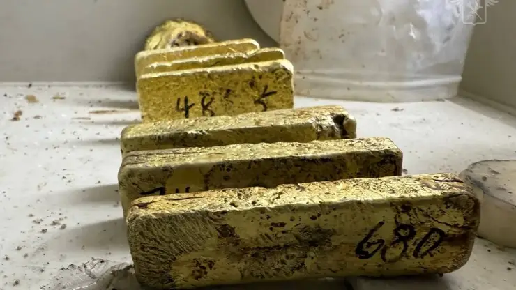На Дальнем Востоке китаец пытался вывезти из страны золотые слитки на 267 млн рублей