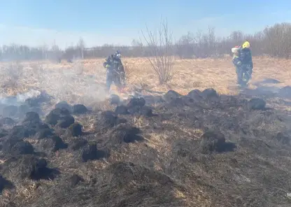 12 палов травы зарегистрировано в Красноярском крае за сутки