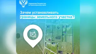 Зачем устанавливать границы земельного участка? Объясняет Росреестр