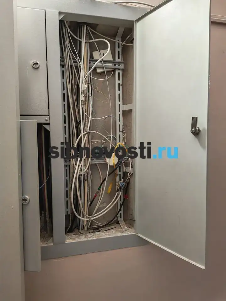 Фото: sibnovosti.ru