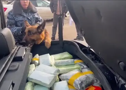 25 килограммов наркотиков пыталась провезти жительница Уфы в Красноярский край