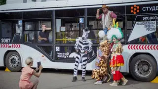 В Красноярске на Центральной набережной наградили лучших водителей троллейбусов