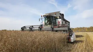 В Красноярском крае стартовала уборочная кампания В Красноярском крае стартовала уборочная кампания