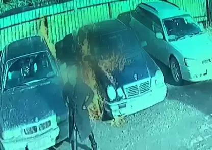 В Новосибирске женщина пыталась сжечь Мерседес с бывшим внутри и попала на видео