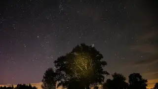 Гороскоп на 16 марта