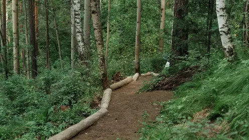 РУСАЛ и «Красноярские Столбы»: как бизнес и заповедная природа создают экологическое будущее