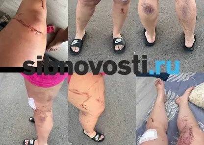 В Красноярском крае пьяный водитель сбил девушку с ребёнком и на машине прижал их к дому