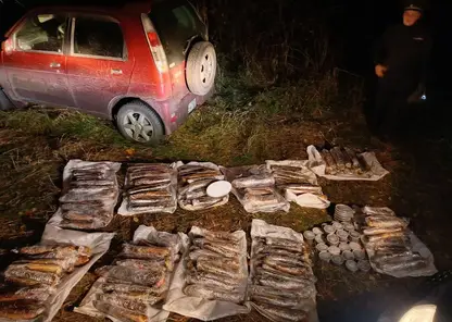 Пожарный незаконно выловил 217 краснокнижных рыб в Красноярском крае