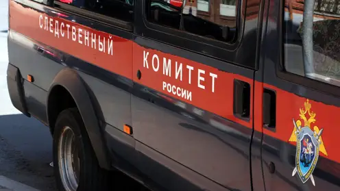 Два уголовных дела возбудили в Красноярском крае по факту гибели людей при пожарах