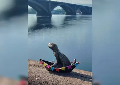 В Красноярске суслику-речнику украсили лодку в честь праздника