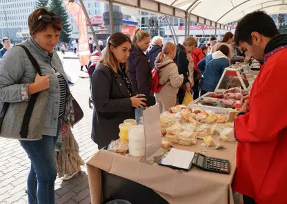 Молодые предприниматели из Красноярска приняли участие в общегородской ярмарке