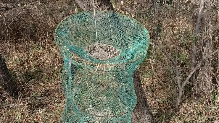 В Амурской области пресекли незаконную добычу птиц с помощью сетей