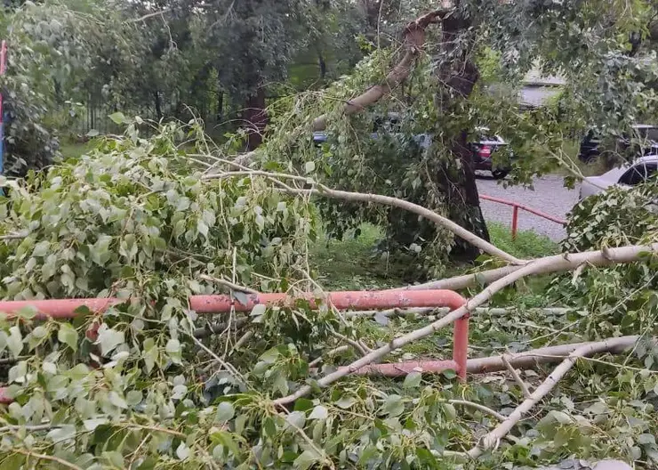 Последствия штормового ветра в хакасском  Саяногорске: по всему городу повалены деревья