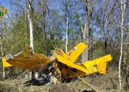 В Красноярском крае разбился легкомоторный самолёт