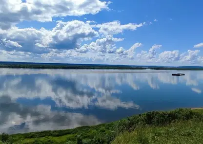В Мотыгинском округе застрелили пять медведей