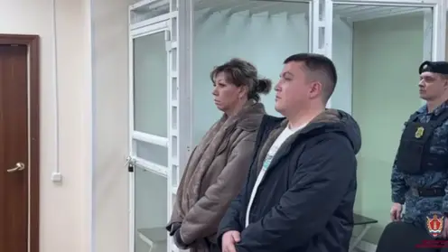 «Пришлось переехать»: красноярец получил 2,5 года колонии за умышленный наезд на пешехода