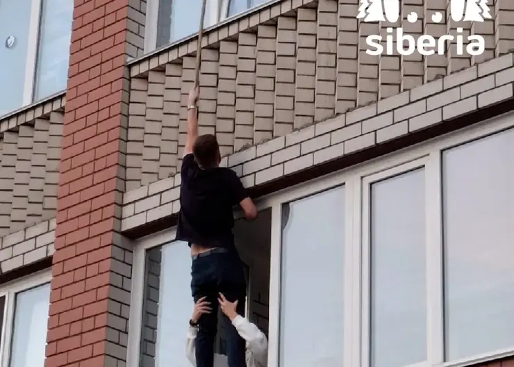 Барнаульцы спасли котёнка, застрявшего в оконной раме