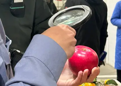 В красноярской партии фруктов и овощей из Китая обнаружены опасные вредители