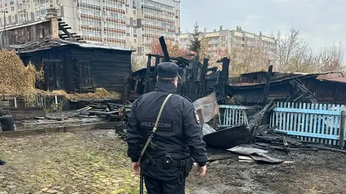 В Красноярске сгоревшие хозпостройки в зоне КРТ Николаевки подожгли. Полиция возбудила уголовное дело