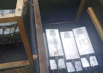 Более 20 единиц незаконного майнингового оборудования обнаружили силовики в лесополосе Иркутска